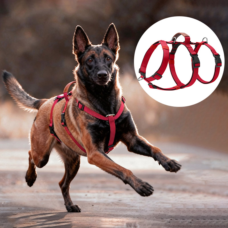 No Pull Dog Harness - Kaçışa Dayanıklı Naylon Köpek Koşum Takımı,