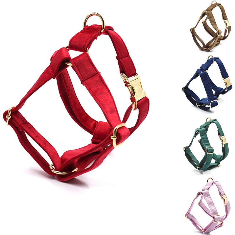 No Pull Dog Harness - Kişiselleştirilmiş Köpek Koşum Takımı Küçük Büyük