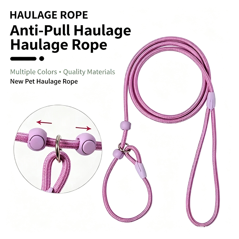 No Pull Dog Harness - 160Cm Hafif Naylon P Tasma Anti