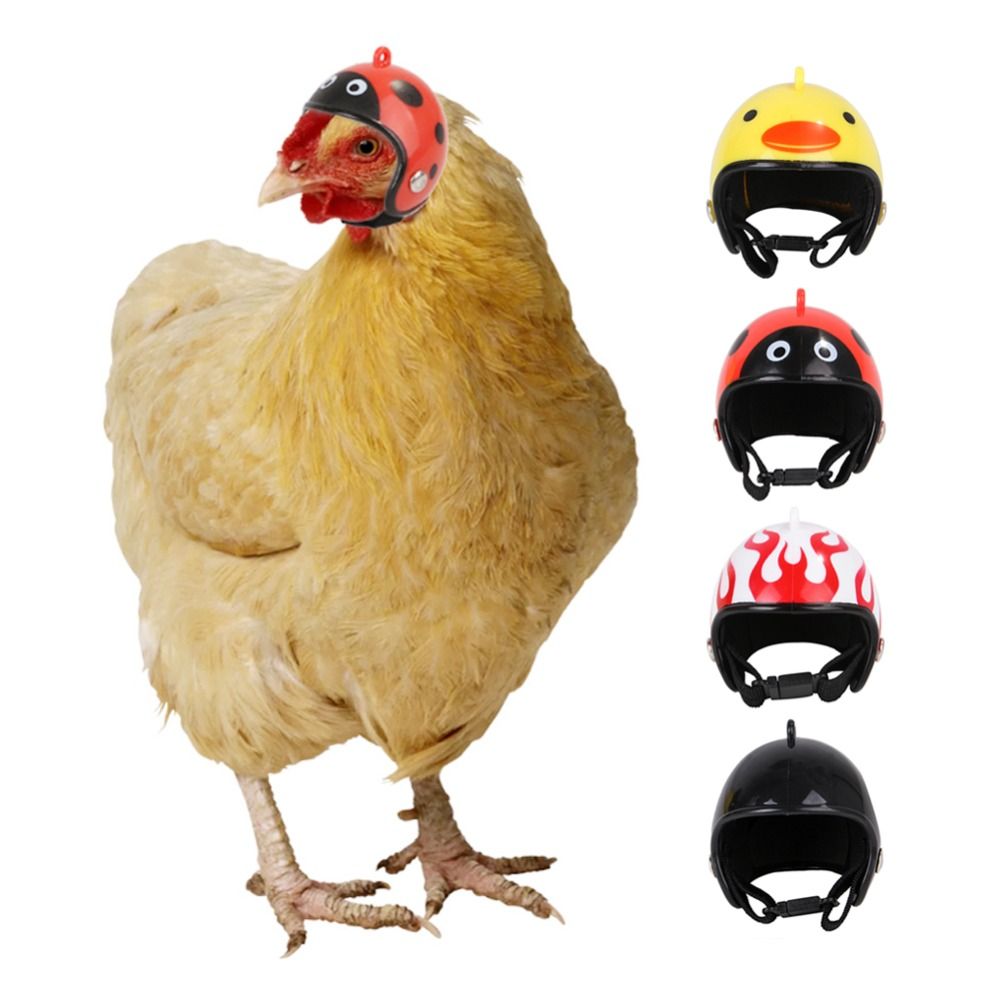Pet X Supplies & Tack Howell Mi - ABS Evcil Hayvan Malzemeleri Komik Evcil