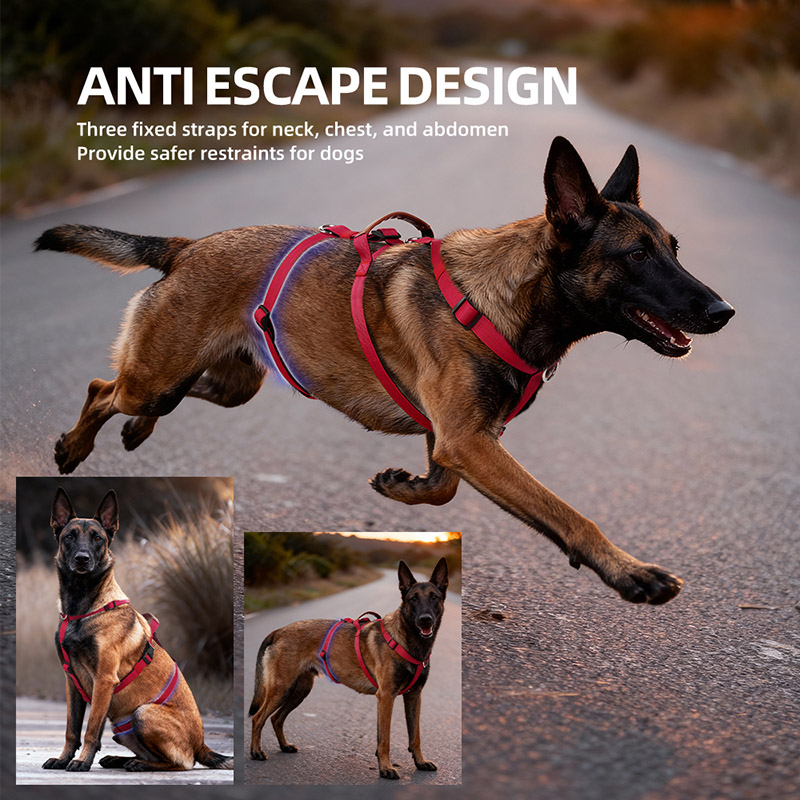 Kaçışa Dayanıklı Naylon Köpek  - No Pull Dog Harness incelemesi ve fiyatı