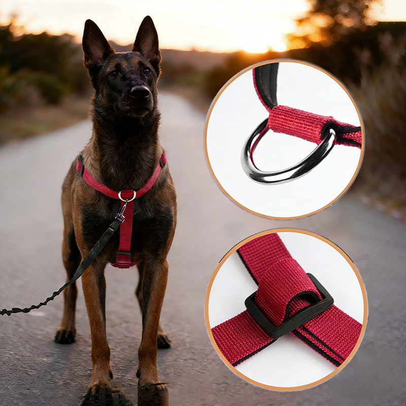 Kaçışa Dayanıklı Naylon Köpek  - No Pull Dog Harness incelemesi ve fiyatı