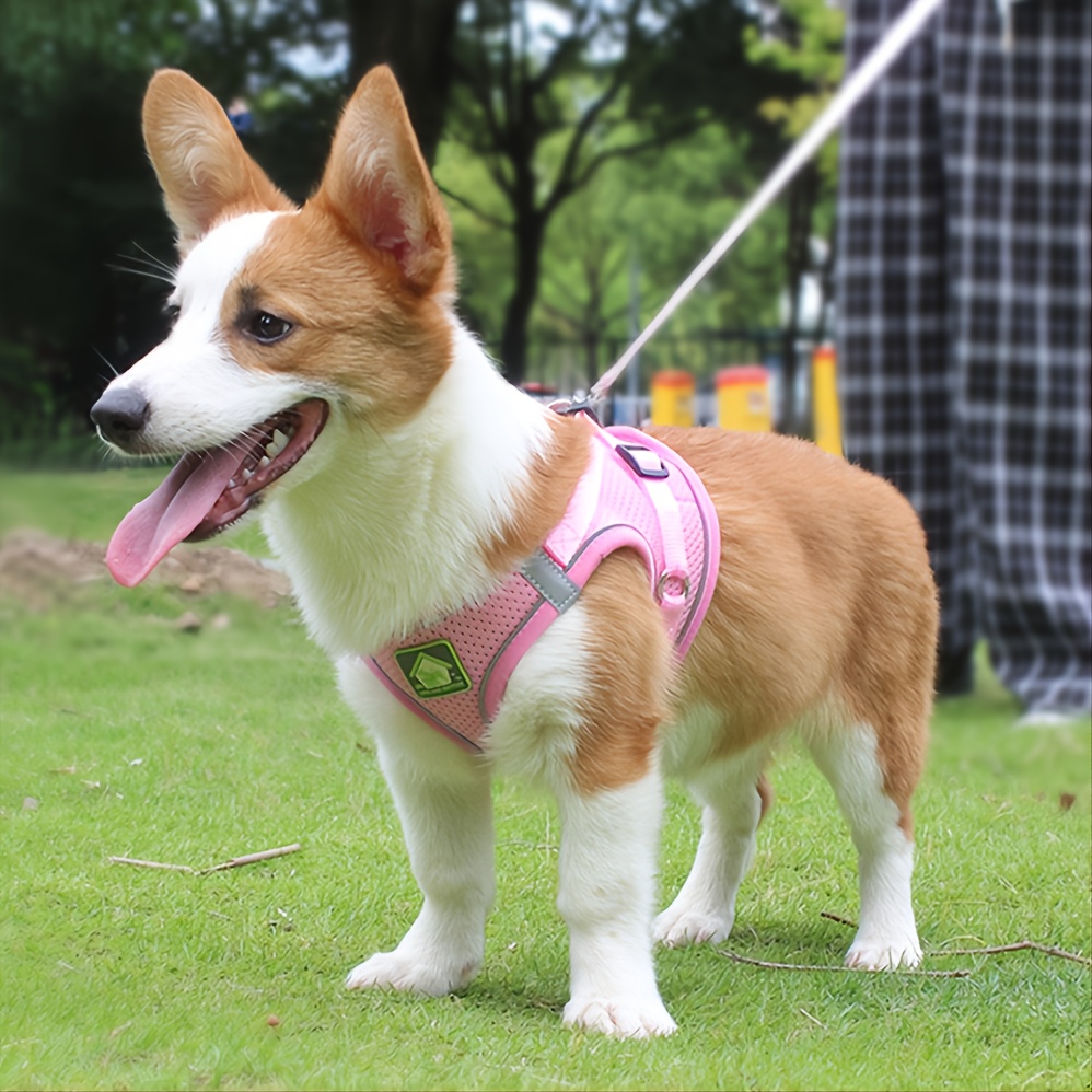 Köpek ve Kedi İçin Yansıtıcı E - No Pull Dog Harness incelemesi ve fiyatı