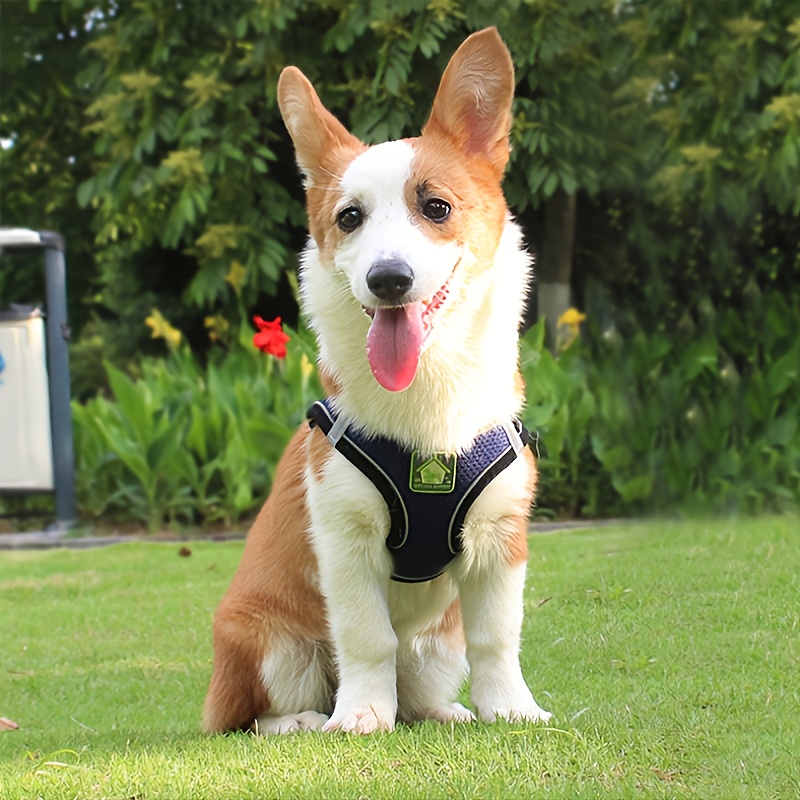 Köpek ve Kedi İçin Yansıtıcı E - No Pull Dog Harness incelemesi ve fiyatı
