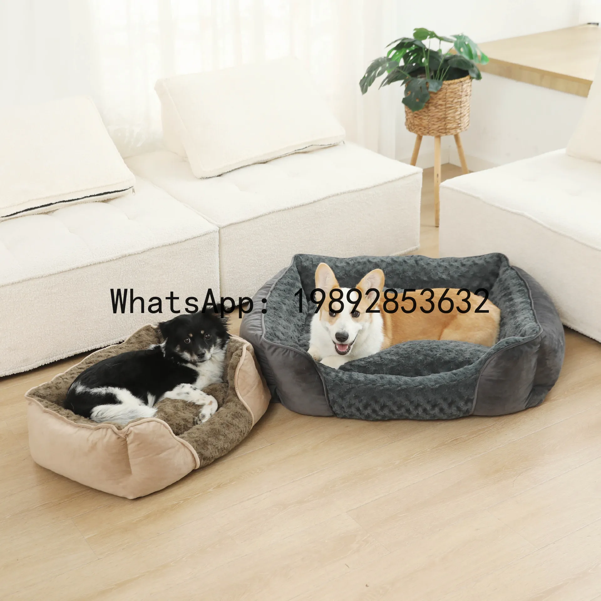 X kedi evi yarı kapalı köpek k - Pet X Supplies & Tack Howell Mi incelemesi ve fiyatı