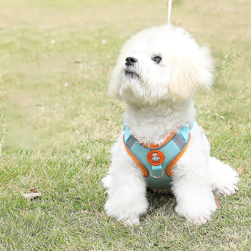 Ayarlanabilir köpek koşum takı - No Pull Dog Harness incelemesi ve fiyatı