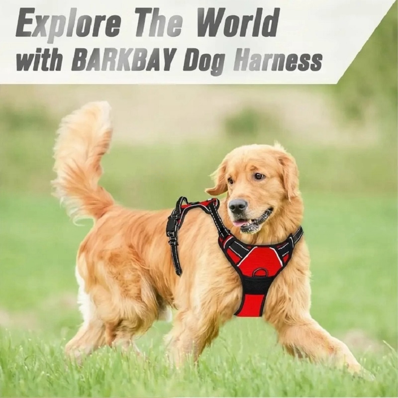 Çekişsiz Köpek Tasması Büyük K - No Pull Dog Harness incelemesi ve fiyatı