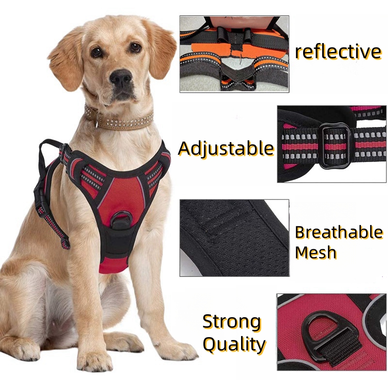 Çekişsiz Köpek Tasması Büyük K - No Pull Dog Harness incelemesi ve fiyatı