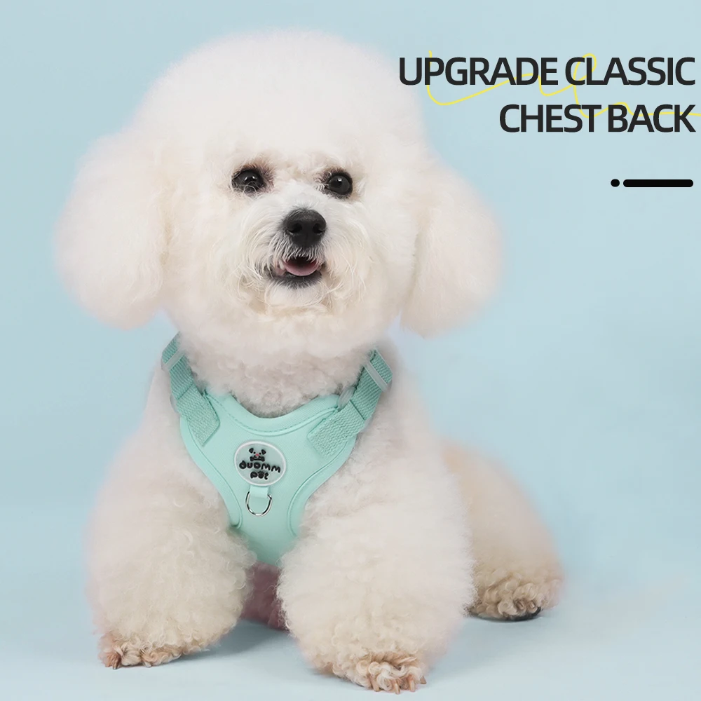 Küçük Irklar için Renkli Hafif - No Pull Dog Harness incelemesi ve fiyatı