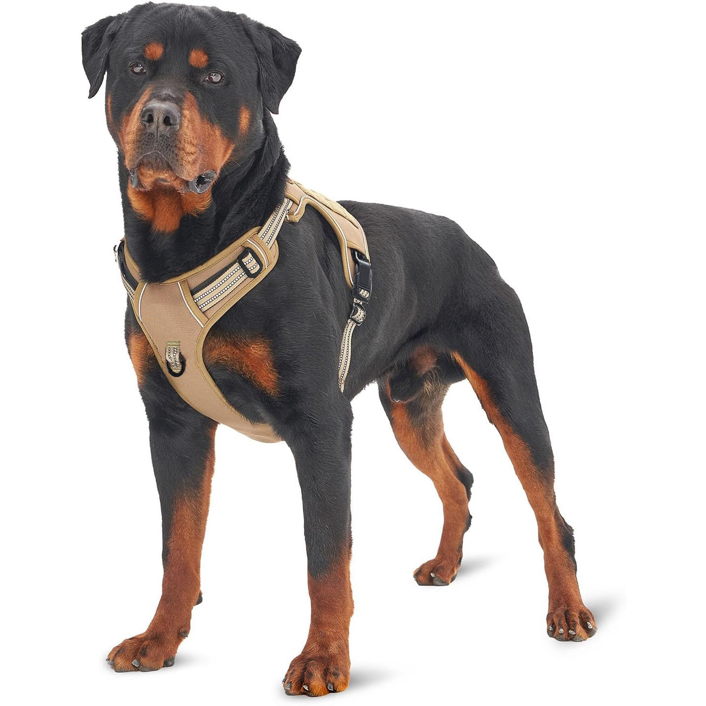 Askeri Taktik Köpek Tasması Çe - No Pull Dog Harness incelemesi ve fiyatı