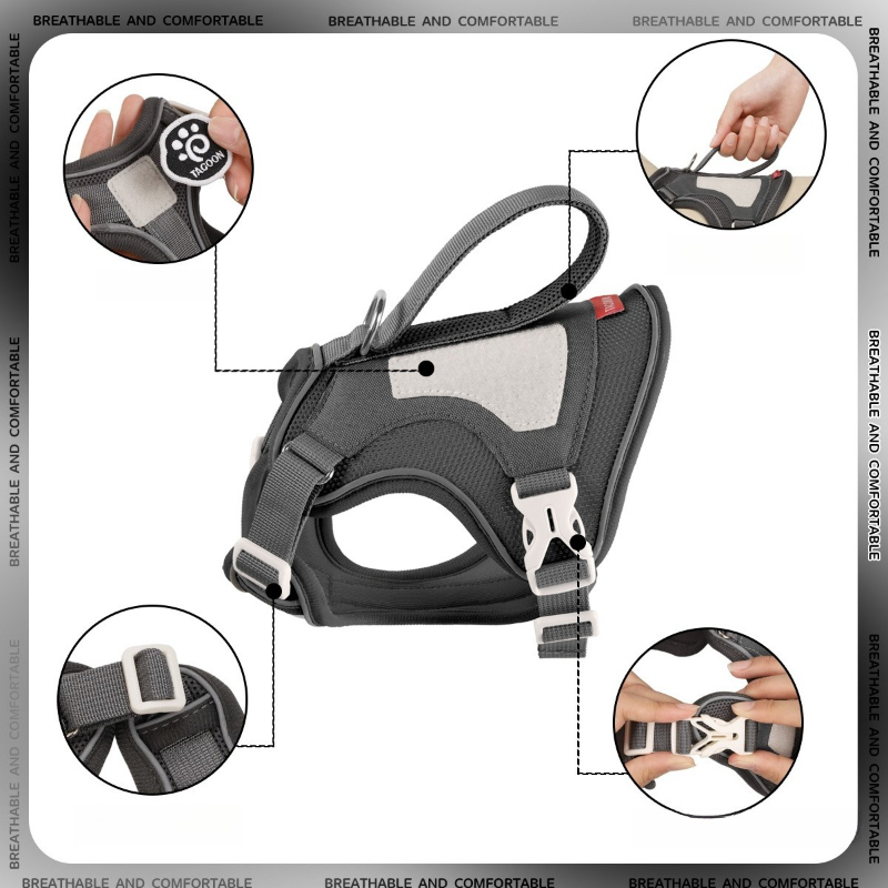 Taktik Kedi Tasması, 1.6m Tasm - No Pull Dog Harness incelemesi ve fiyatı