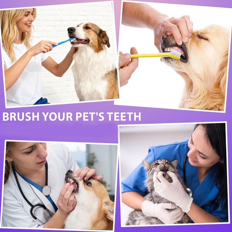 AB66-Köpek Ağız Hijyeni Aracı- - Dog Paw Cleaner incelemesi ve fiyatı