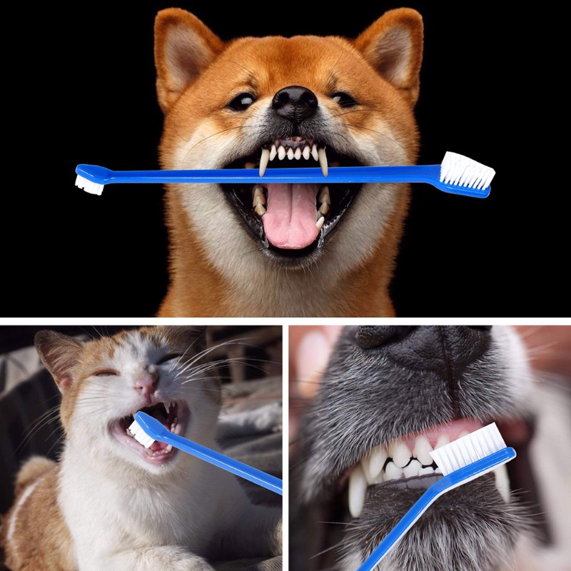 AB66-Köpek Ağız Hijyeni Aracı- - Dog Paw Cleaner incelemesi ve fiyatı